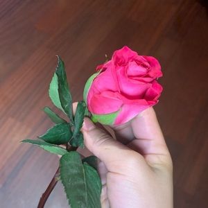 Meet your Posher, Jasmine